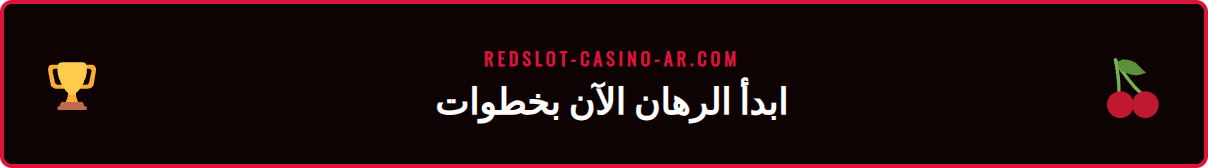 دليل مصور يوضح كيفية وضع رهان ناجح في البريميرليغ ريدسلوت