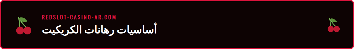 رسم بياني يوضح أنواع رهانات كريكيت ريدسلوت المختلفة المتاحة على المنصة.